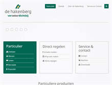 Tablet Screenshot of hakenberg.nl